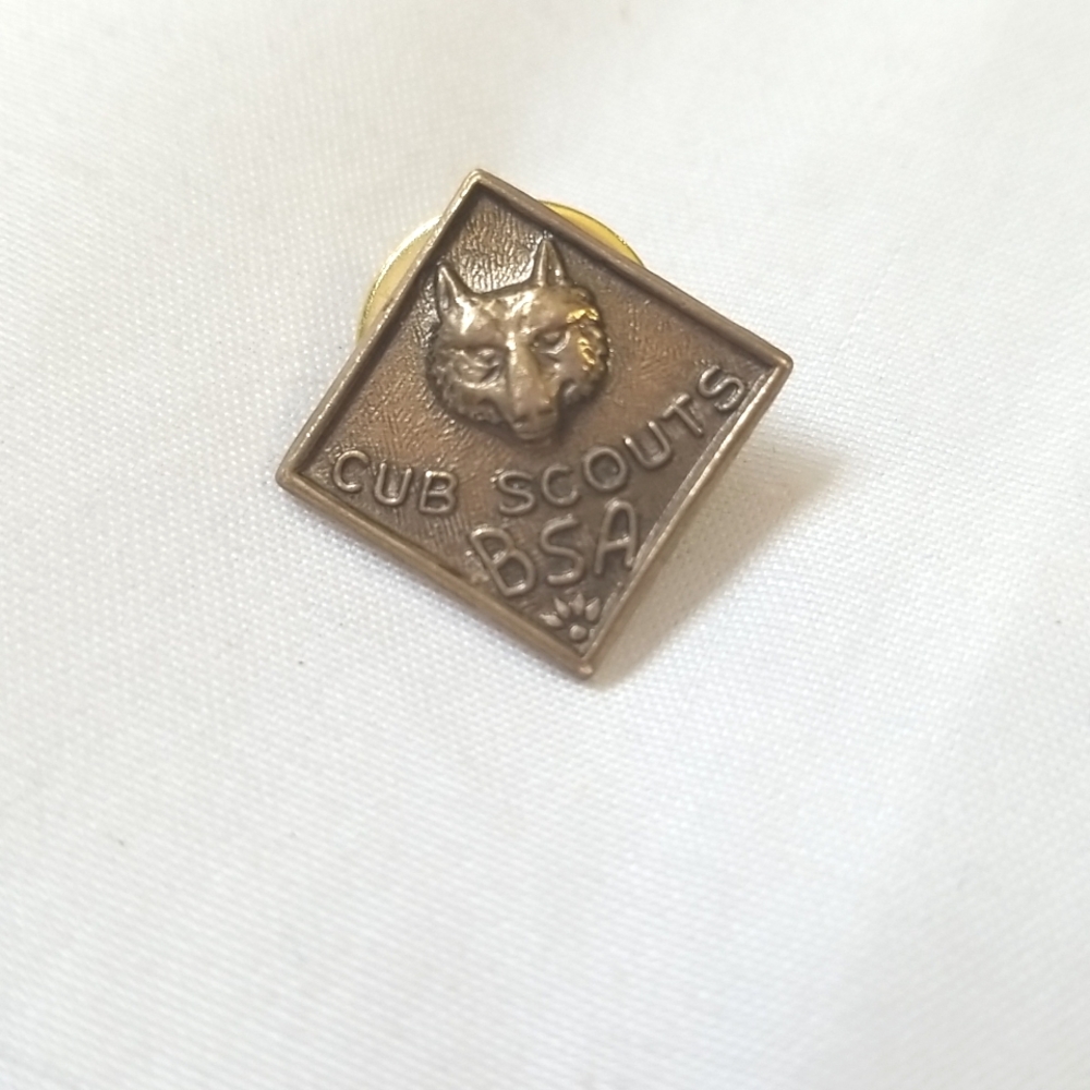 Vintage Cub Scouts BSA Pin